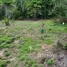  Земельный участок for sale in Phe, Районг, Phe