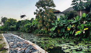 4 Schlafzimmern Haus zu verkaufen in Huai Sak, Chiang Rai 