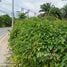  Land for sale in Si Sunthon, Phuket, Si Sunthon