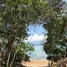 ขายที่ดิน ใน เกาะยาวใหญ่, พังงา, เกาะยาวใหญ่, เกาะยาว, พังงา