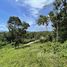  Land for sale in Maenam, Koh Samui, Maenam