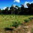  Terreno for sale in Presidente Figueiredo, Amazonas, Presidente Figueiredo