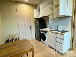 1 Habitación Departamento en alquiler en Noble BE19, Khlong Toei Nuea