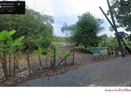 ขายที่ดิน ใน พืชอุดม, ปทุมธานี, พืชอุดม