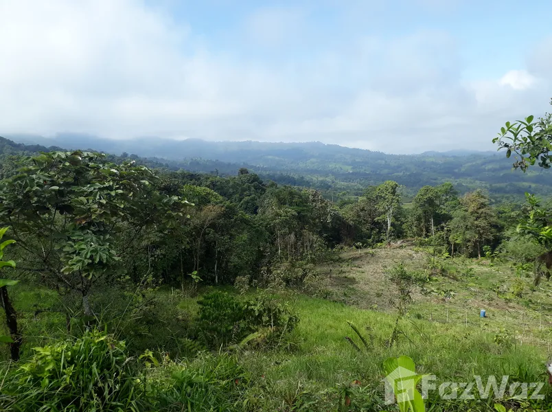 Property for Sale in San Miguel De Los Bancos, San Miguel De Los Bancos