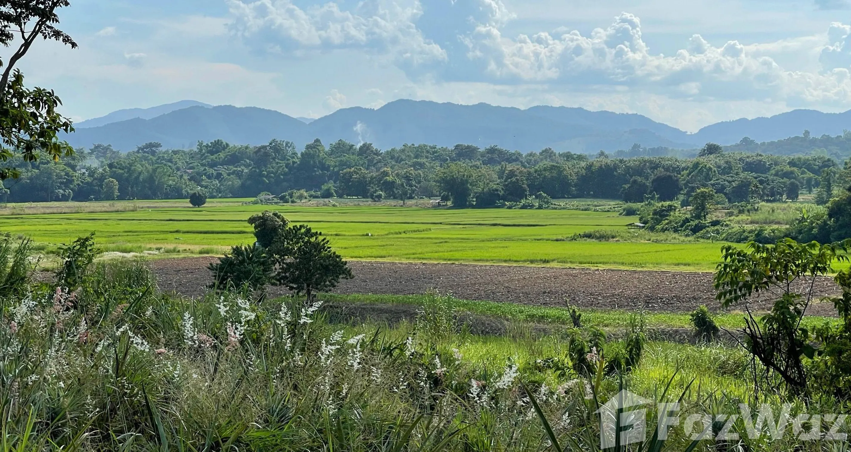 Paradise Perched: Panoramic Hillside Estate