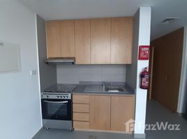 Studio Condo for sale at Al Mamsha, Al Zahia, Muwaileh Commercial, Sharjah