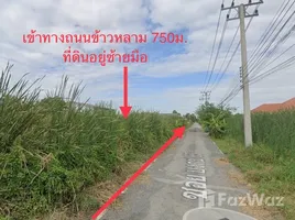  Land for sale in Thailand, Khlong Song, Khlong Luang, Pathum Thani, Thailand