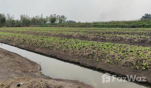 N/A Grundstück zu verkaufen in Thawi Watthana, Nonthaburi 