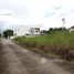  Land for sale in AsiaVillas, Tha Sala, Mueang Chiang Mai, Chiang Mai, Thailand