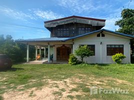  Land for sale in Surin, Kang Aen, Prasat, Surin
