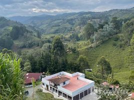 在哥伦比亚出售的 别墅, Abejorral, Antioquia, 哥伦比亚