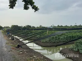  Land for sale in Bang Yang, Samut Sakhon, Bang Yang, Krathum Baen, Samut Sakhon, Thailand