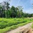  Land for sale in Talamanca, Limon, Talamanca, Limon