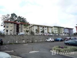 2 chambre Appartement à vendre à Nice apartment in Curridabat., San Jose, San Jose, Costa Rica
