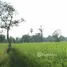  Land for sale in Ubon Ratchathani, Yang Sak Krapho Lum, Muang Sam Sip, Ubon Ratchathani