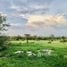  Land for sale in Makluea Kao, Nakhon Ratchasima, Makluea Kao, Sung Noen