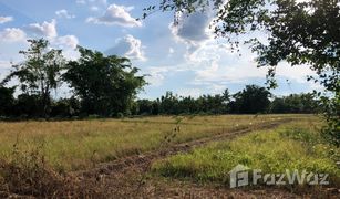 N/A Land for sale in San Phak Wan, Chiang Mai 