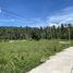 Земельный участок for sale in Khanom, Nakhon Si Thammarat, Khanom, Khanom