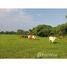  Land for sale in Bagaces, Guanacaste, Bagaces