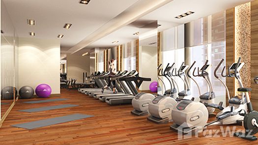 Photos 1 of the Communal Gym at Celestia