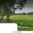  Land for sale in Western Visayas, Lezo, Aklan, Western Visayas
