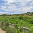  Terrain for sale in Thaïlande, Tha Sut, Mueang Chiang Rai, Chiang Rai, Thaïlande