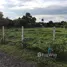  Terrain for sale in Mae Faek Mai, San Sai, Mae Faek Mai