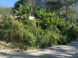  Land for sale in Kathu, Phuket, Kamala, Kathu