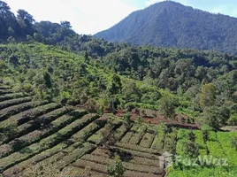  Terreno (Parcela) en venta en Bali, Banjar, Buleleng, Bali