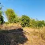  Land for sale in Sawang Daen Din, Sakon Nakhon, Ban Thon, Sawang Daen Din