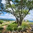  Land for sale in Pak Chong, Nakhon Ratchasima, Pak Chong, Pak Chong, Nakhon Ratchasima