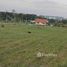  Земельный участок for sale in Mai Khao, Пхукет, Mai Khao