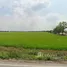  Land for sale in Bang Len, Nakhon Pathom, Nara Phirom, Bang Len