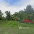 在墨西哥出售的 土地, Othon P Blanco, Quintana Roo, 墨西哥