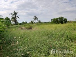  Grundstück zu verkaufen in Nong Chok, Bangkok, Lam Toiting, Nong Chok