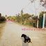 N/A Land for sale in Lat Khwang, Chachoengsao 1 Rai Land For Sale in Chachoengsao