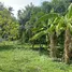  Land for sale in Taling Ngam, Surat Thani, Taling Ngam, Koh Samui