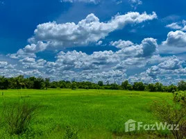 ขายที่ดิน ใน ม่วงสามสิบ, อุบลราชธานี, ม่วงสามสิบ, ม่วงสามสิบ, อุบลราชธานี