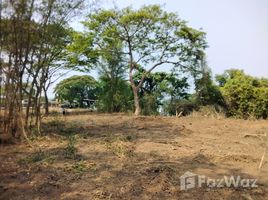 ขายที่ดิน ใน ชมพู, ลำปาง, ชมพู, เมืองลำปาง