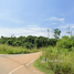  Land for sale in Chanthaburi, Thung Khanan, Soi Dao, Chanthaburi