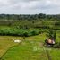  Land for sale in Bali, Abiansemal, Badung, Bali