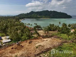ขายที่ดิน ใน ตลิ่งงาม, สุราษฎร์ธานี, ตลิ่งงาม, เกาะสมุย