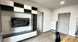 ยูนิตมือสองและให้เช่า