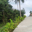  Land for sale in Ko Pha-Ngan, Surat Thani, Ko Pha-Ngan, Ko Pha-Ngan