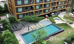 图片 3 of the Communal Pool at U Campus Rangsit-Muangake