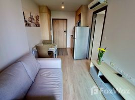 1 chambre Condominium à vendre à Ideo O2., Bang Na, Bang Na, Bangkok