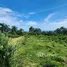 Terrain à vendre à San Felipe De Puerto Plata, Puerto Plata, San Felipe De Puerto Plata