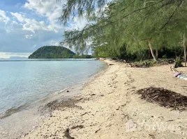  Land for sale in Koh Samui Surat Thani, Ang Thong, Koh Samui