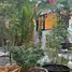 1 Bedroom House for rent in Pa Khlok, Phuket, Pa Khlok